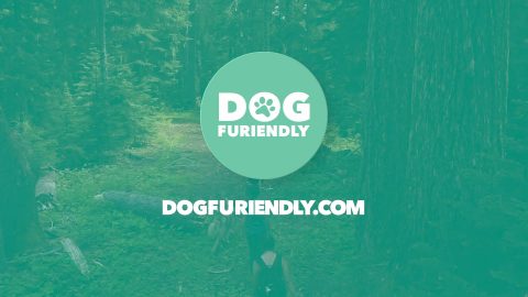 Hello Furiend - Dog Furiendly