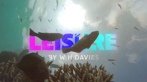 Video Has Power - Great Bear Media